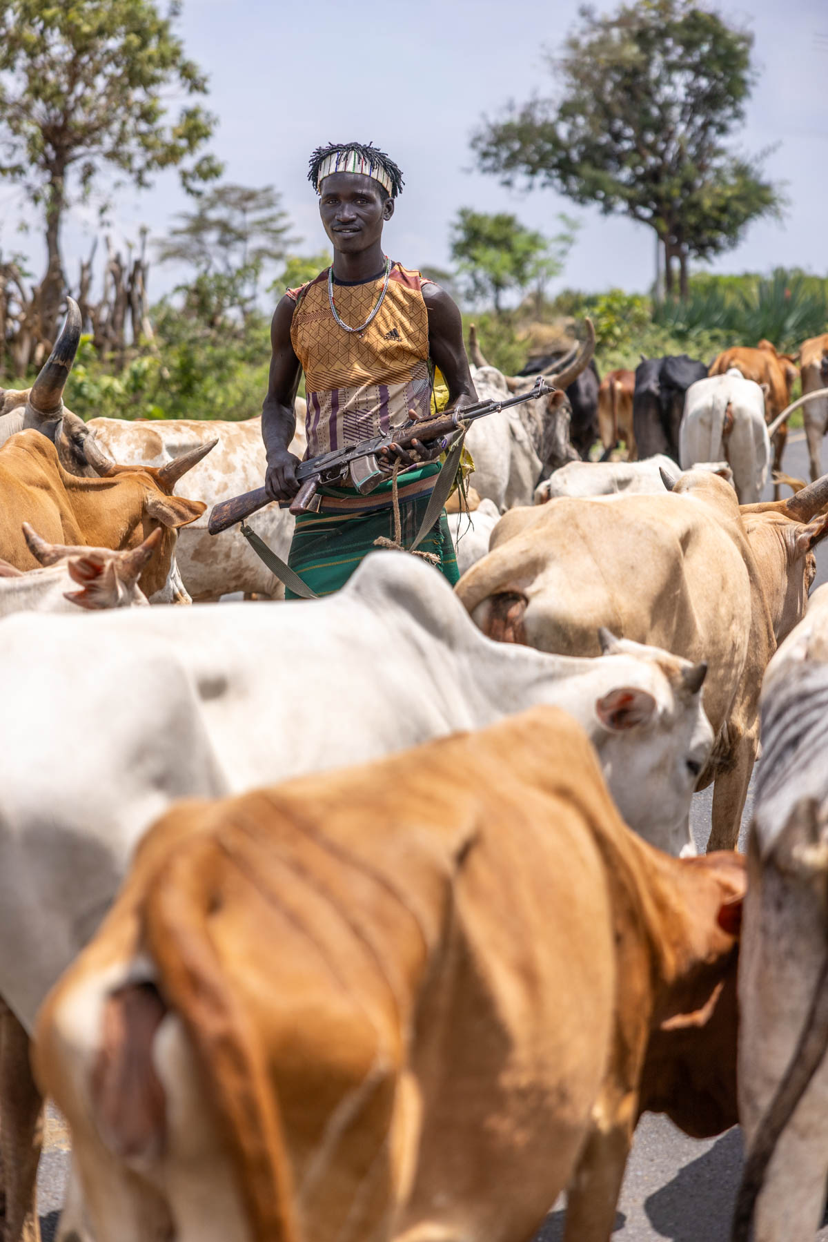 Caught in a traffic jam. A Banna boy is navigating his cattle. (image by Ingrid Koedood)