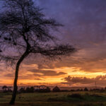 Waking up after a night of camping in a Borana village, greeted by this incredible sunrise. (image by Ingrid Koedood)