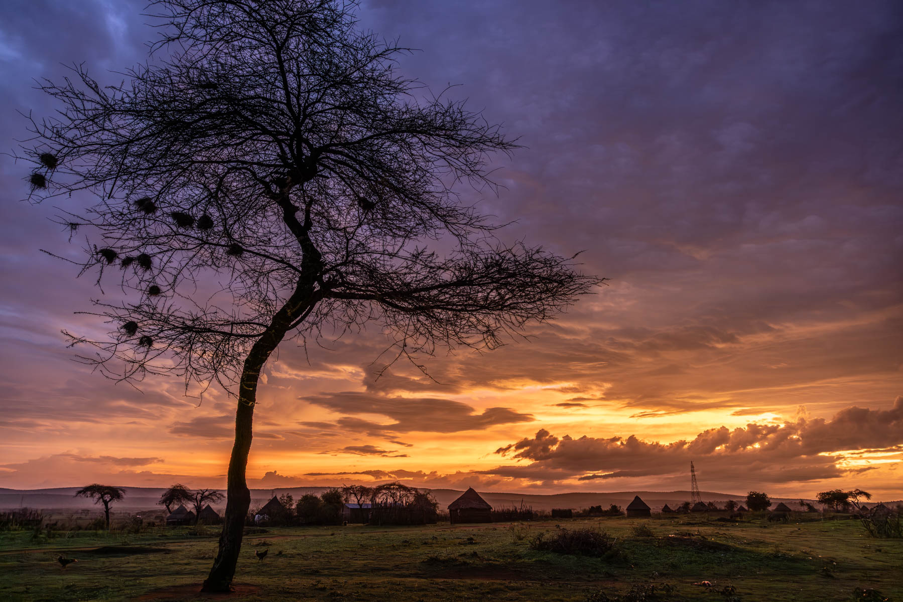 Waking up after a night of camping in a Borana village, greeted by this incredible sunrise. (image by Ingrid Koedood)