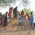 Unlike many parts of Africa where women build houses, in Mundari culture it is the men who create them. A group of men building the roof of a new home (image by Inger Vandyke)