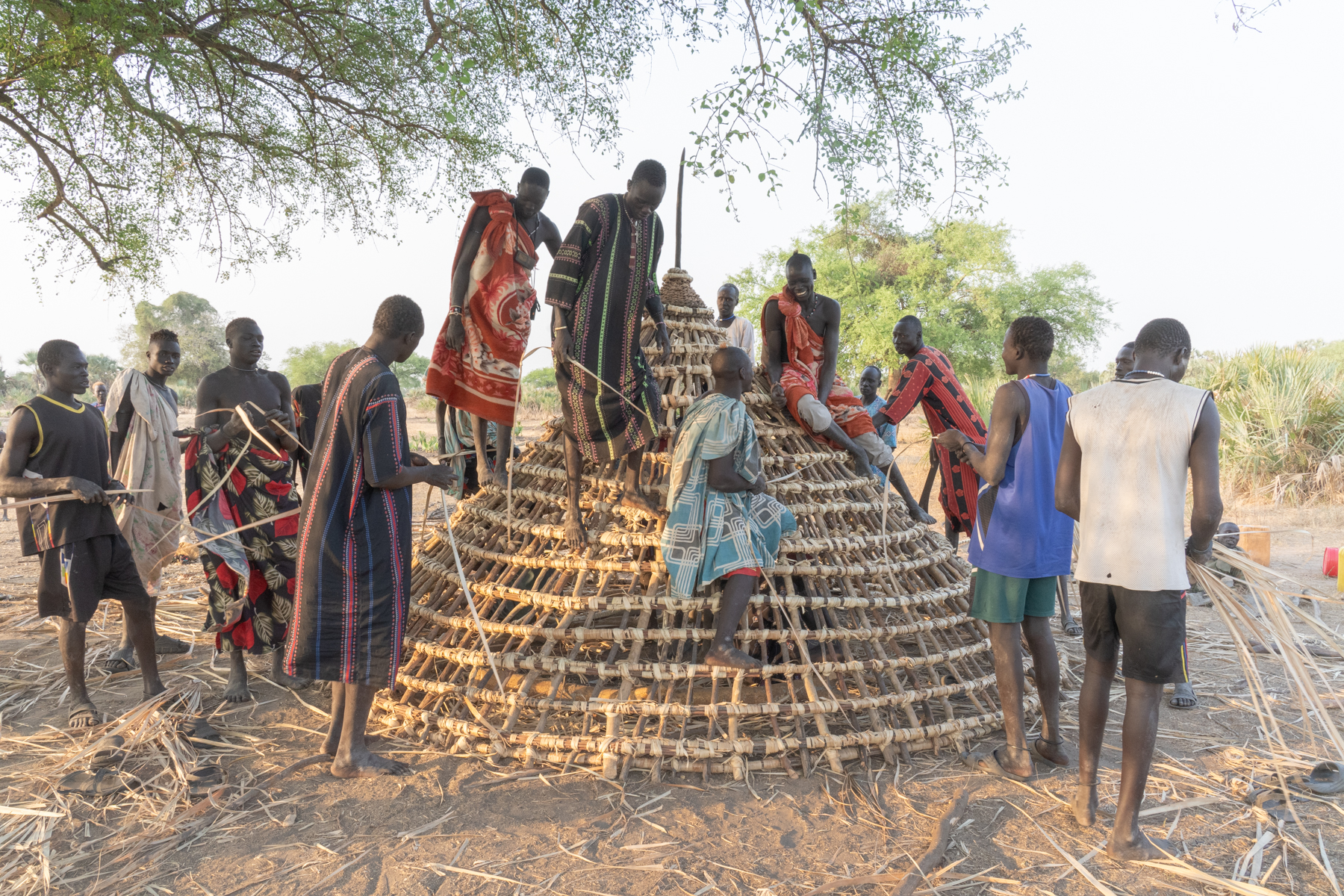 Unlike many parts of Africa where women build houses, in Mundari culture it is the men who create them. A group of men building the roof of a new home (image by Inger Vandyke)