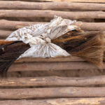 Haircut day for Mundari cows (image by Inger Vandyke)