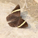 Dark Judy, Kathmandu Valley (Image by Mike Watson)