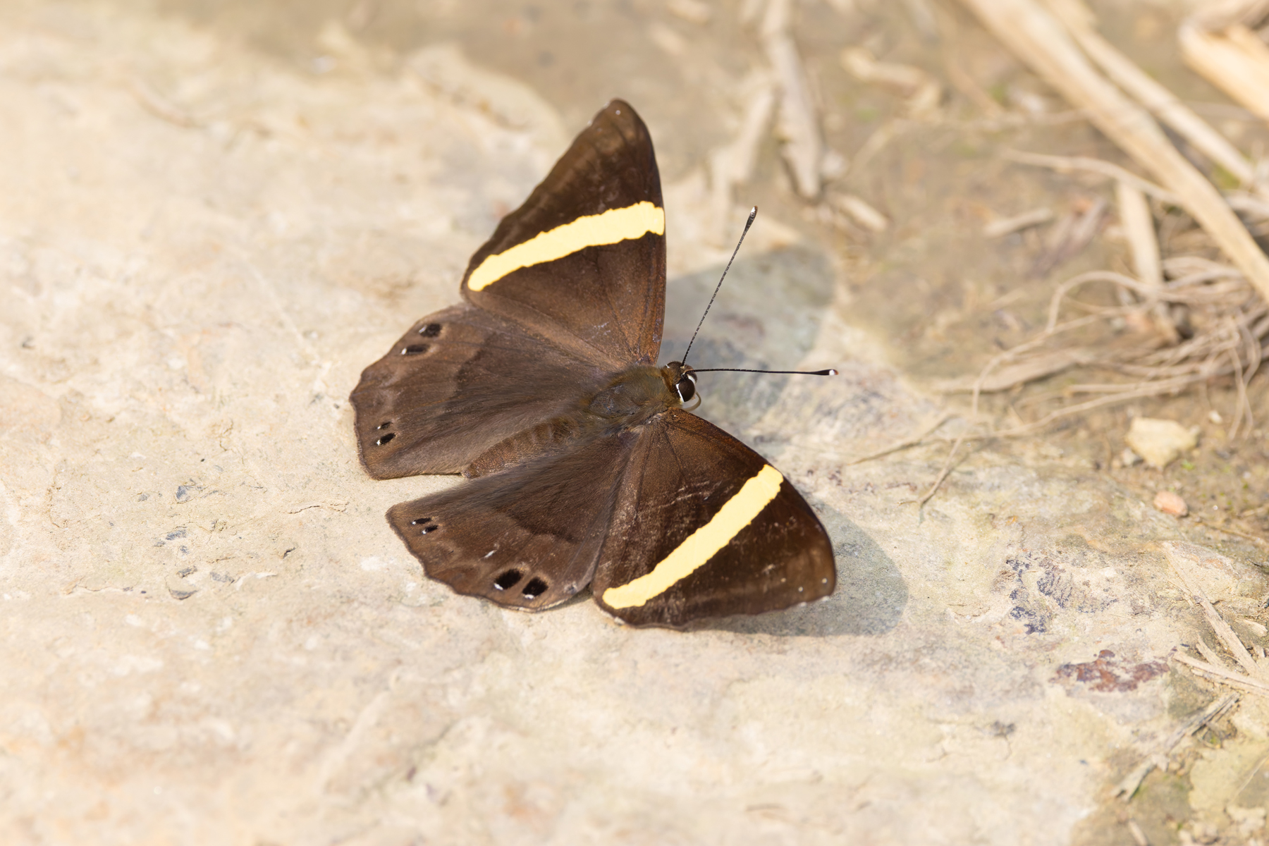 Dark Judy, Kathmandu Valley (Image by Mike Watson)