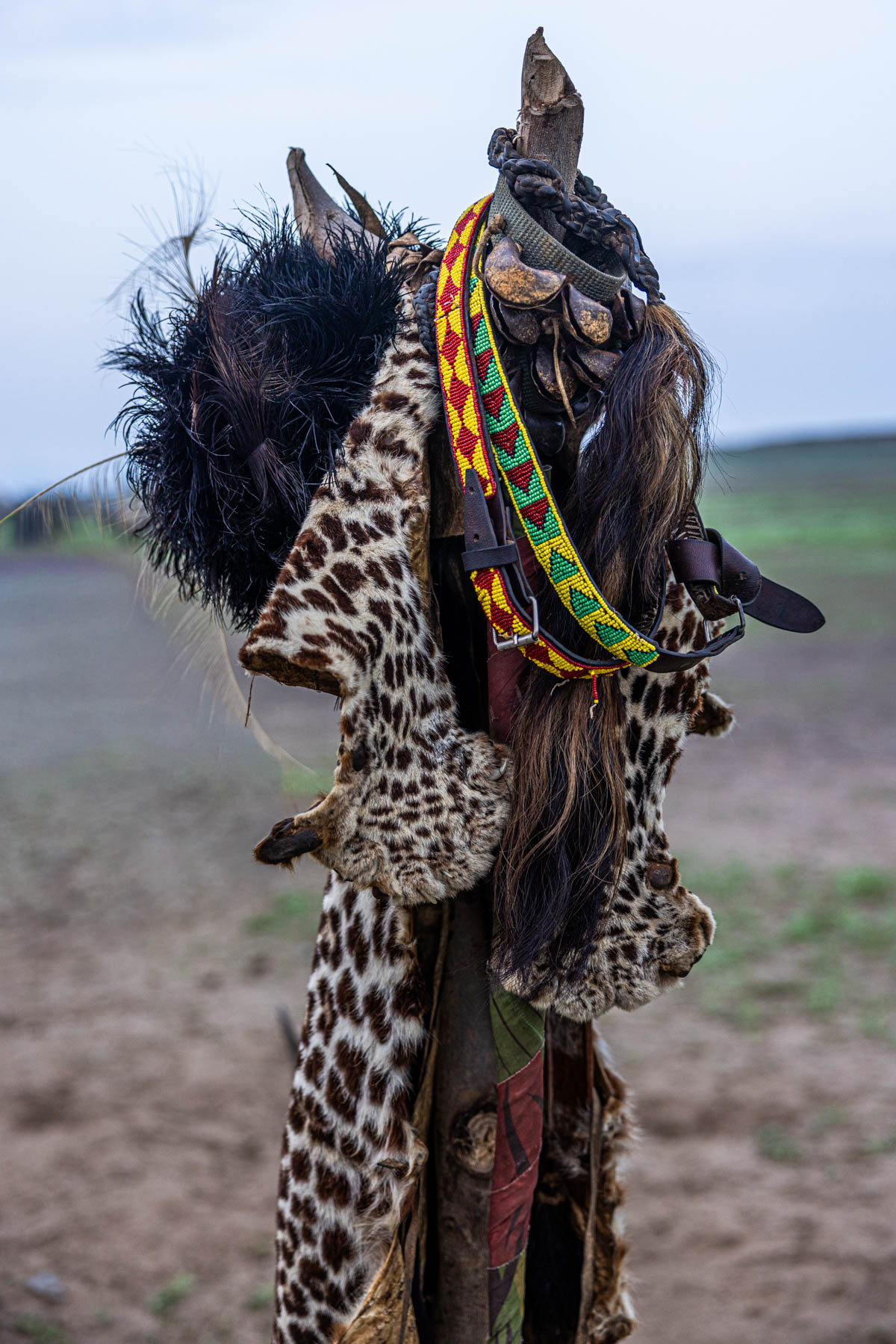 Ostrich headdresses, leopard skin and ankle bells: part of a man’s attire during the Dimi ceremony. (image by Ingrid Koedood)