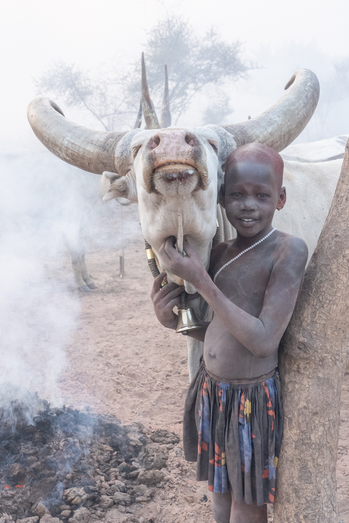 A young Dinka girl strokes her favourite cow (image by Inger Vandyke)