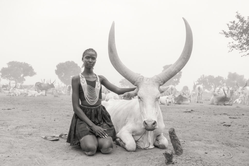 Beautiful Aker wearing the traditional Dinka Guet Yest, or wedding beads, next to one of the magnificent cows in camp (image by Inger Vandyke)