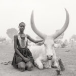 Beautiful Aker wearing the traditional Dinka Guet Yest, or wedding beads, next to one of the magnificent cows in camp (image by Inger Vandyke)