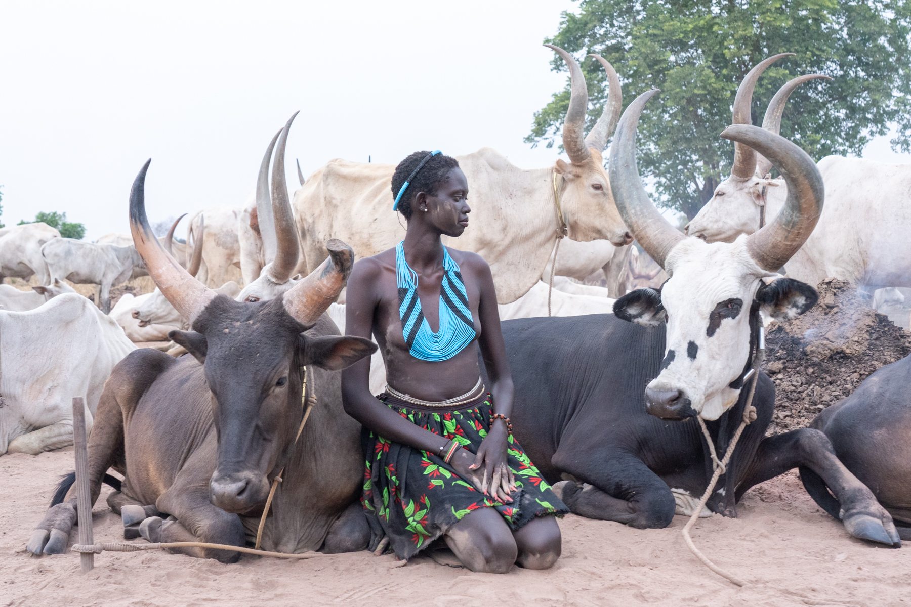 Nyanda wearing Dinka Guet Nom & Yest, the traditional wedding beads, with cows (image by Inger Vandyke)