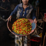 Woman showing colorful peppers in a kitchen in Dorze. (image by Ingrid Koedood)
