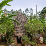 A traditional Dorze house made from bamboo and enset leaves, shaped like an elephant. (image by Ingrid Koedood)