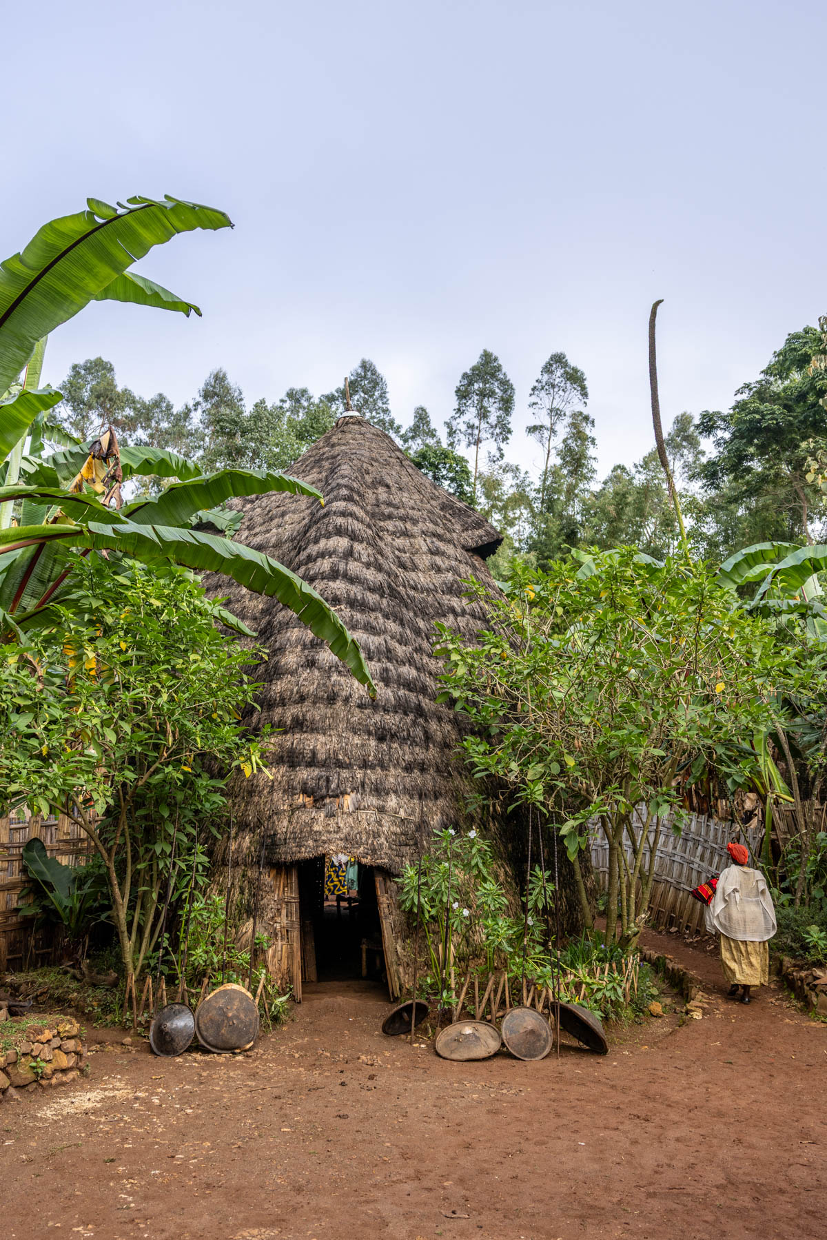 A traditional Dorze house made from bamboo and enset leaves, shaped like an elephant. (image by Ingrid Koedood)