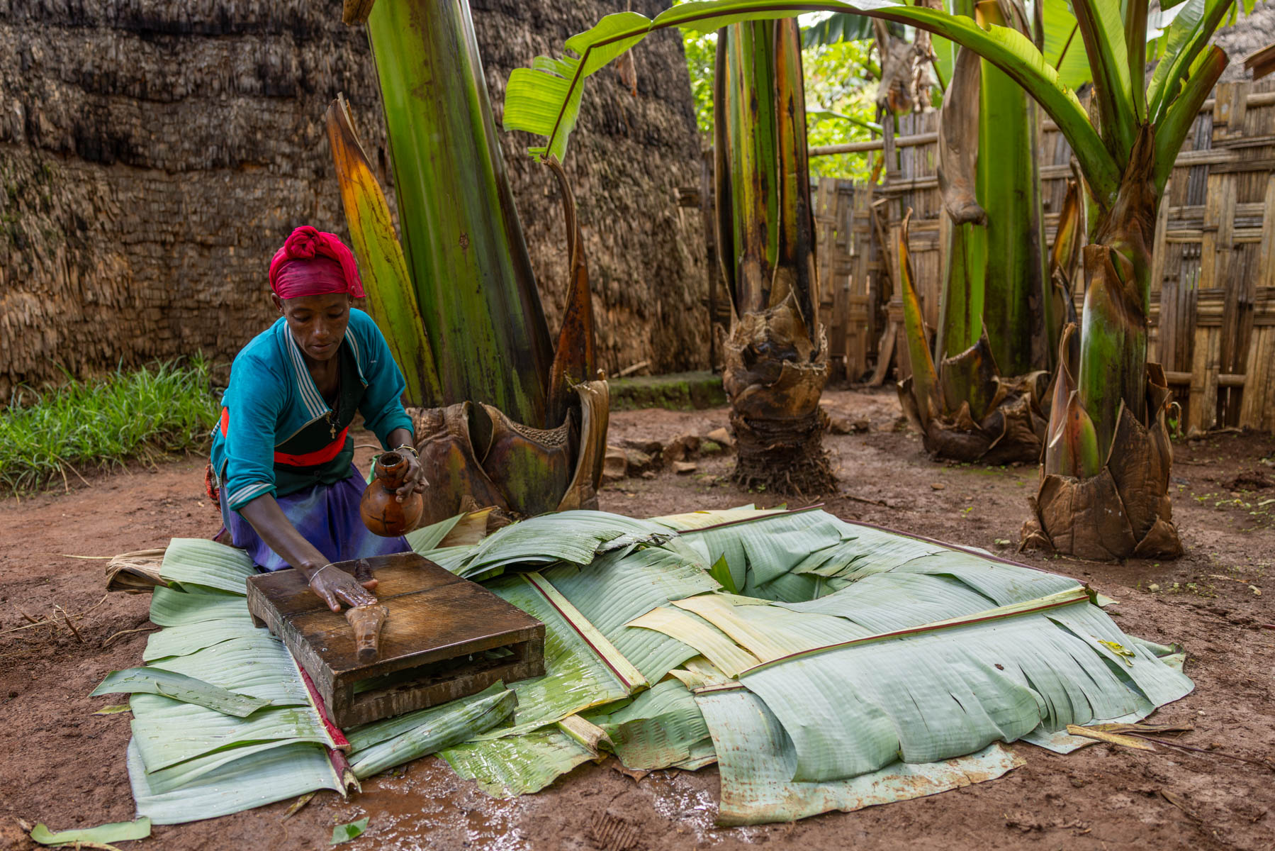Dorze woman processing enset, whose fermented pulp is used to make traditional bread. (image by Ingrid Koedood)