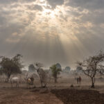 Dramatic afternoon skies herald the end of the dry season (image by Inger Vandyke)