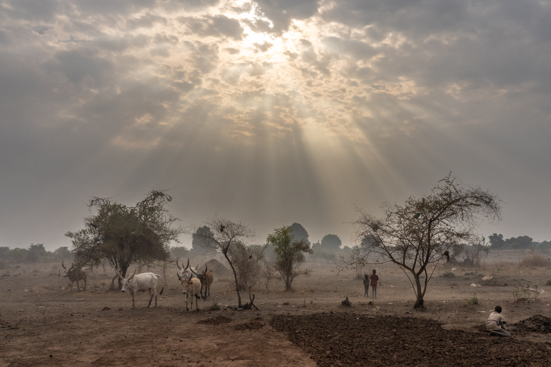 Dramatic afternoon skies herald the end of the dry season (image by Inger Vandyke)