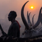 Mundari man and cows in silhouette (image by Inger Vandyke)