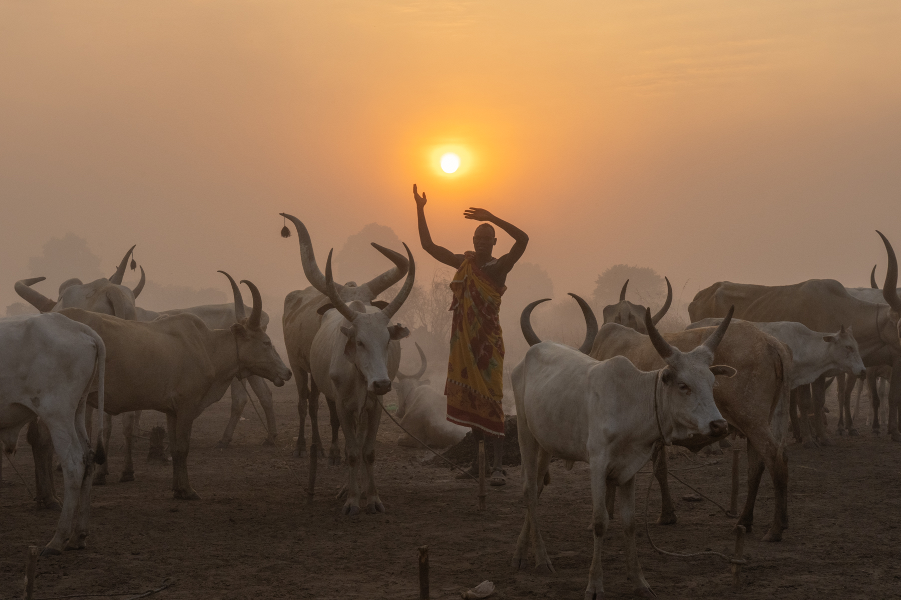 A Mundari man holds his hands in the air in the shape of his favourite cow (image by Inger Vandyke)