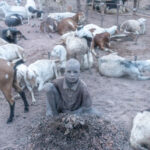 A young boy tasked with herding goats (image by Inger Vandyke)