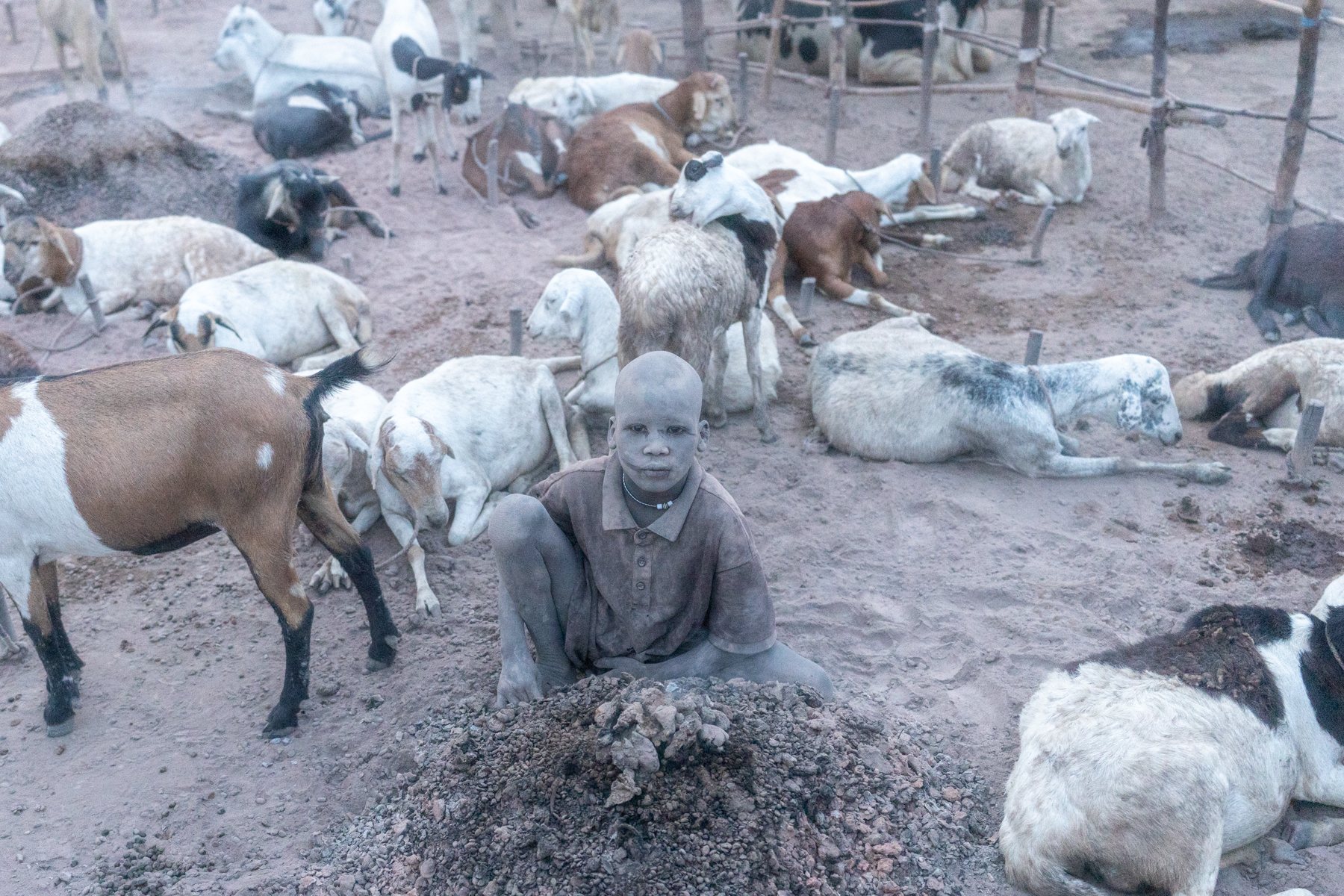 A young boy tasked with herding goats (image by Inger Vandyke)