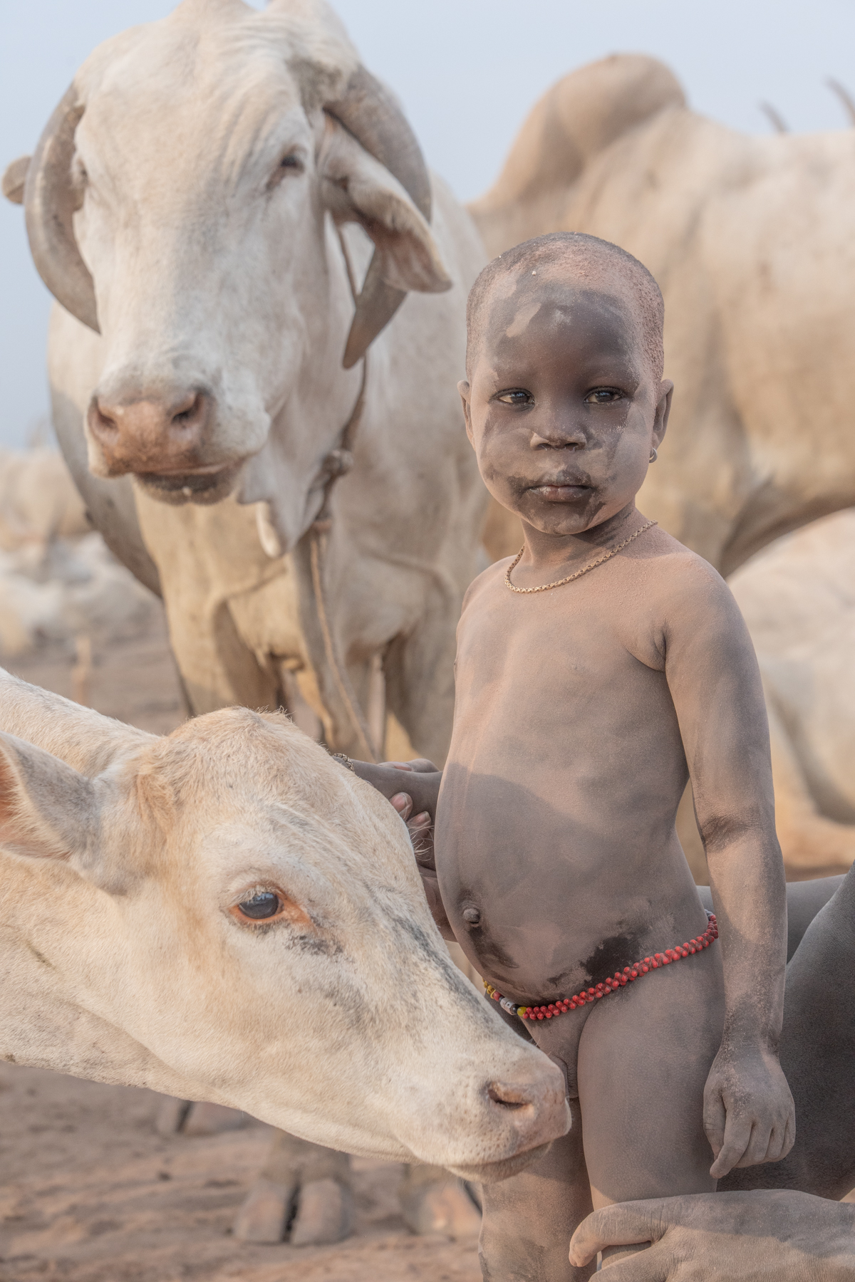 Mundari children are introduced to cows when they are babies (image by Inger Vandyke)