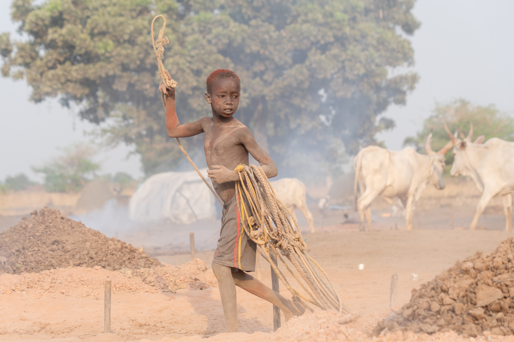A young Mundari boy expertly readying the tethering ropes for the camp cows (image by Inger Vandyke)