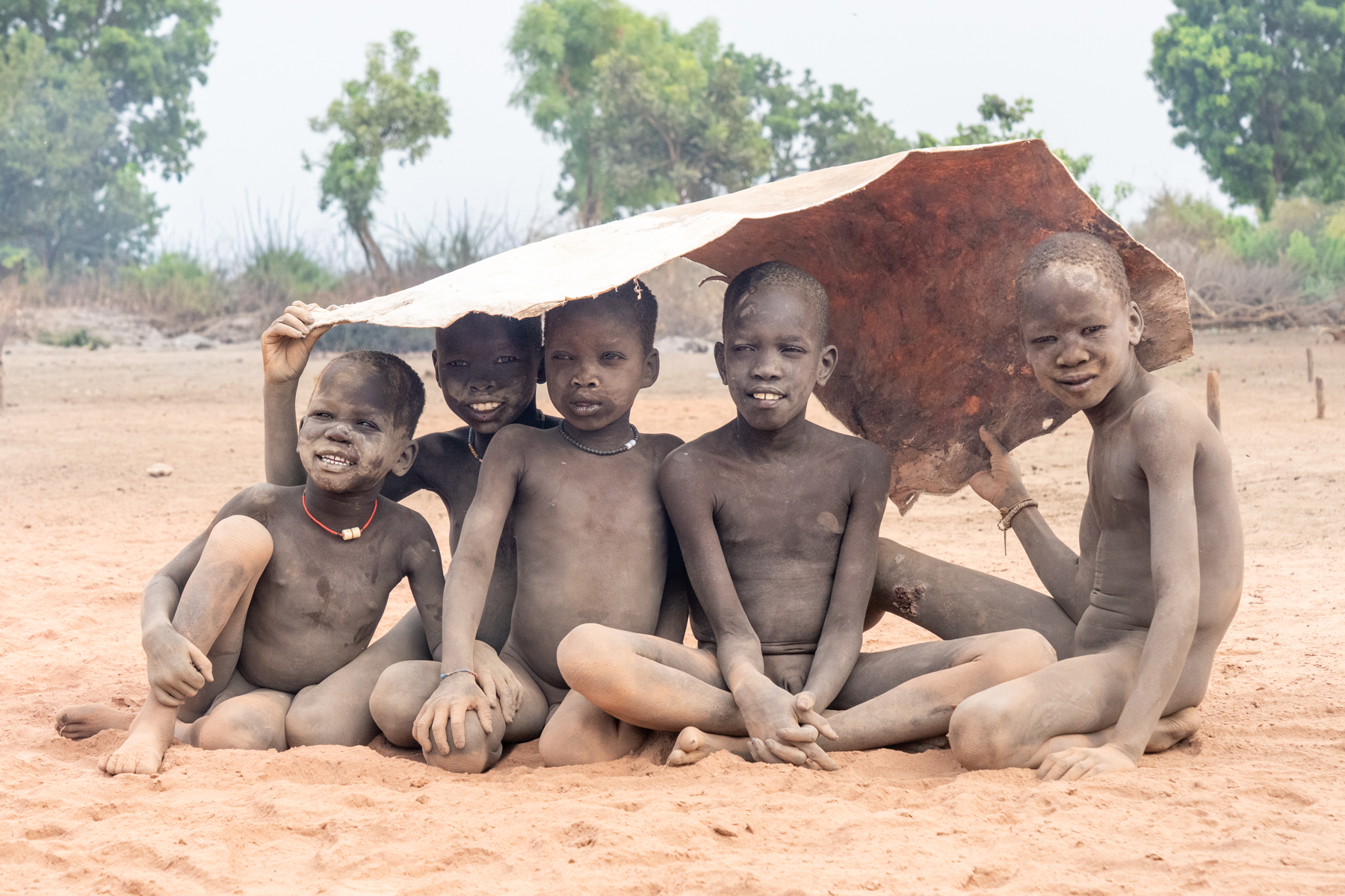 Mundari children take shelter under a cow skin from a light rain shower (image by Inger Vandyke)