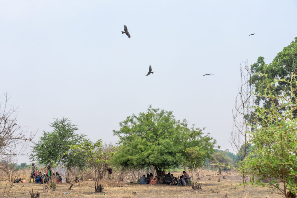 Kites wheeling around a group of Mundari men who were feeding them the entrails of a cow (image by Inger Vandyke)