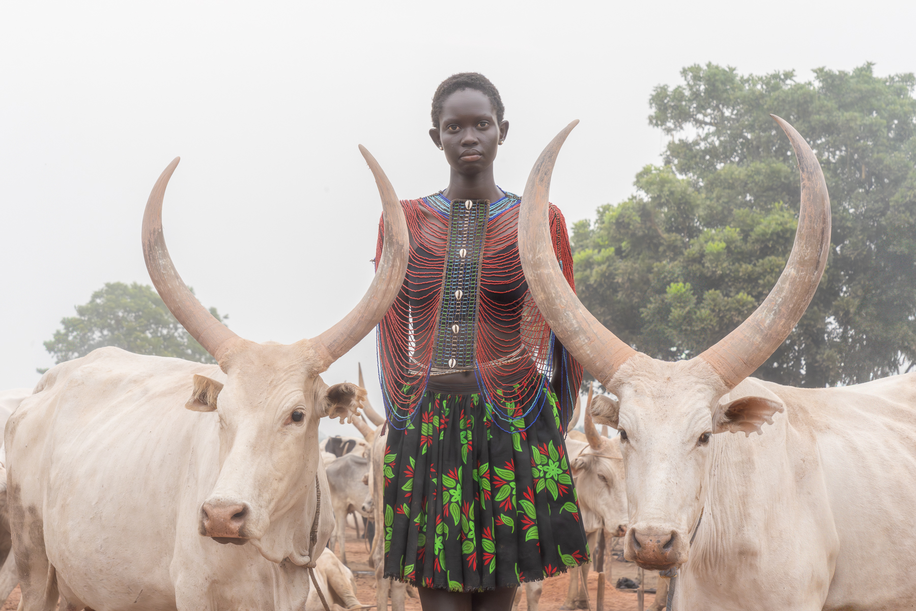 Nyanda with her cows (image by Inger Vandyke)