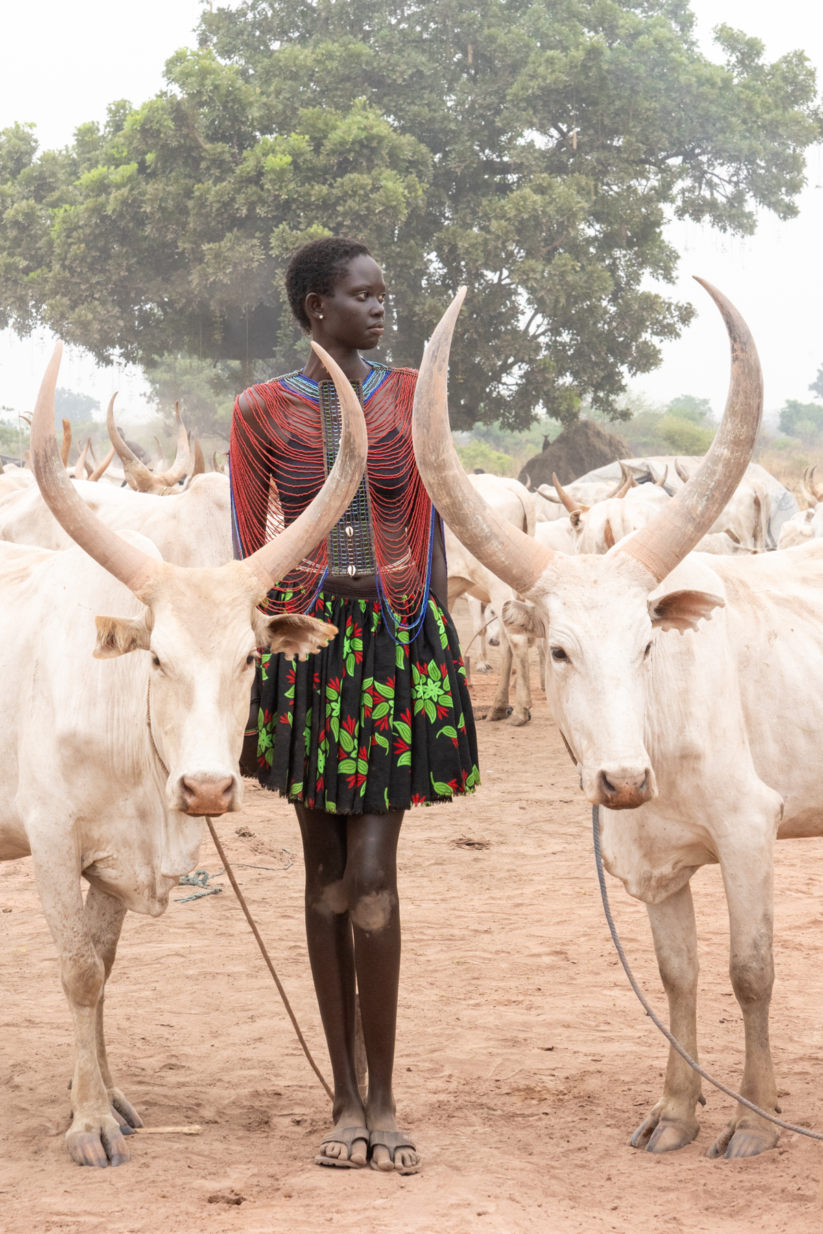 Nyanda and cows (image by Inger Vandyke)