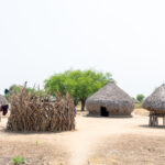 A typical Mundari village (image by Inger Vandyke)