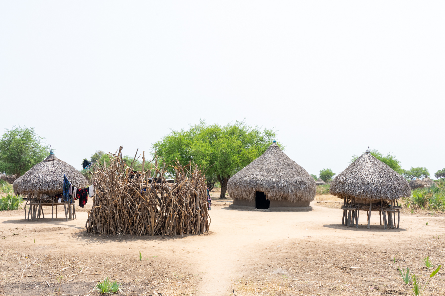 A typical Mundari village (image by Inger Vandyke)