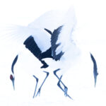 Red-crowned Crane, high key pair (Image by Mike Watson)