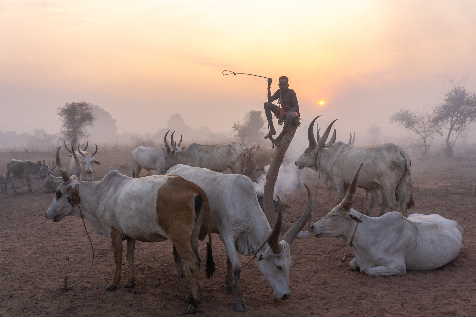 Mundari children become experts at handling ropes and cows from a young age (image by Inger Vandyke)