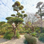 Samurai garden Izumi (Image by Mike Watson)
