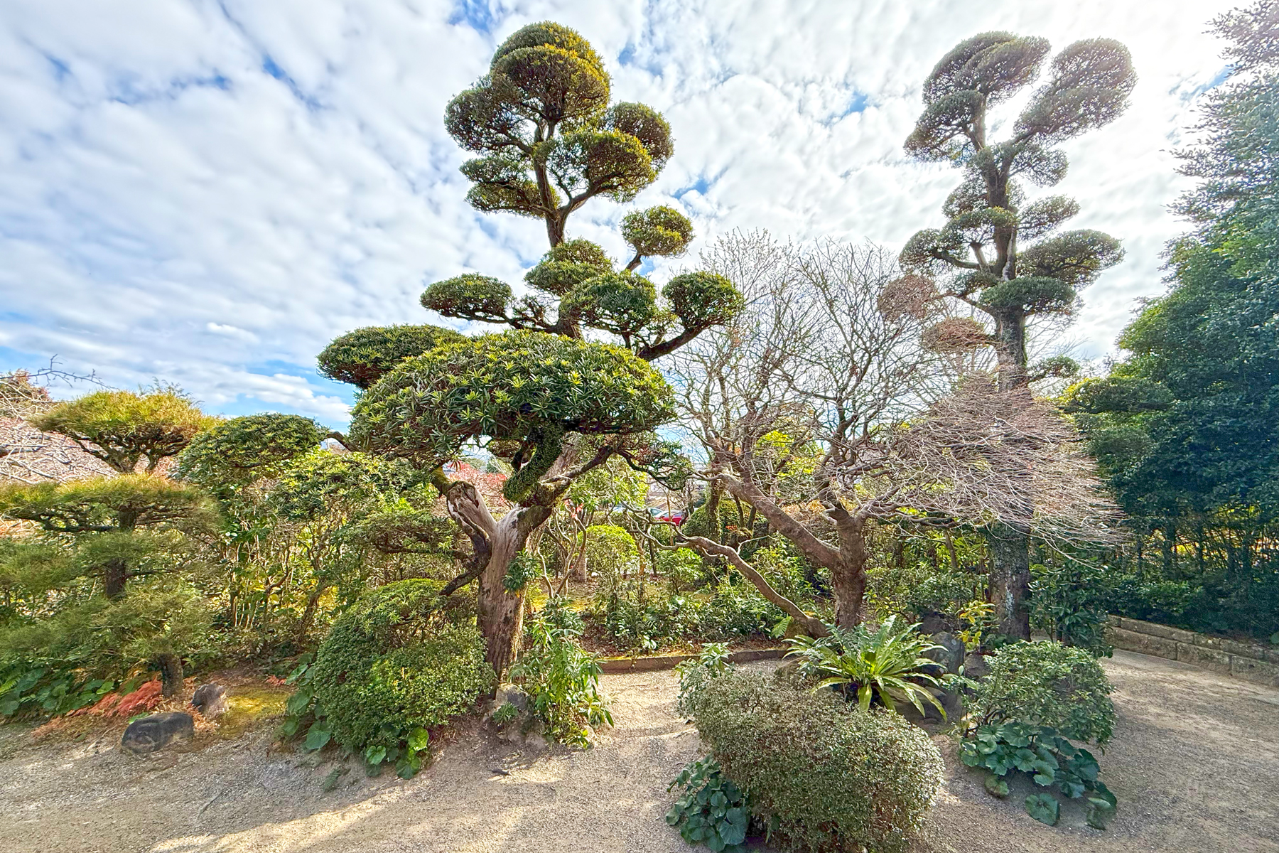 Samurai garden Izumi (Image by Mike Watson)