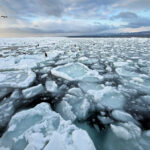 Beautiful drift ice off Rausu, magic! (Image by Mike Watson)