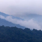 Forested ridges at Singalia (Image by Mike Watson)