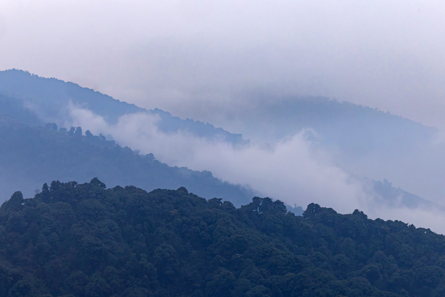 Forested ridges at Singalia (Image by Mike Watson)