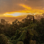 Stunning view of the sunset from Paraiso Quetzal Lodge (image by Oliver Krueger)
