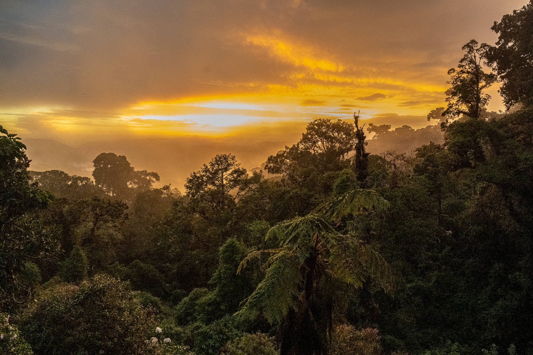 Stunning view of the sunset from Paraiso Quetzal Lodge (image by Oliver Krueger)