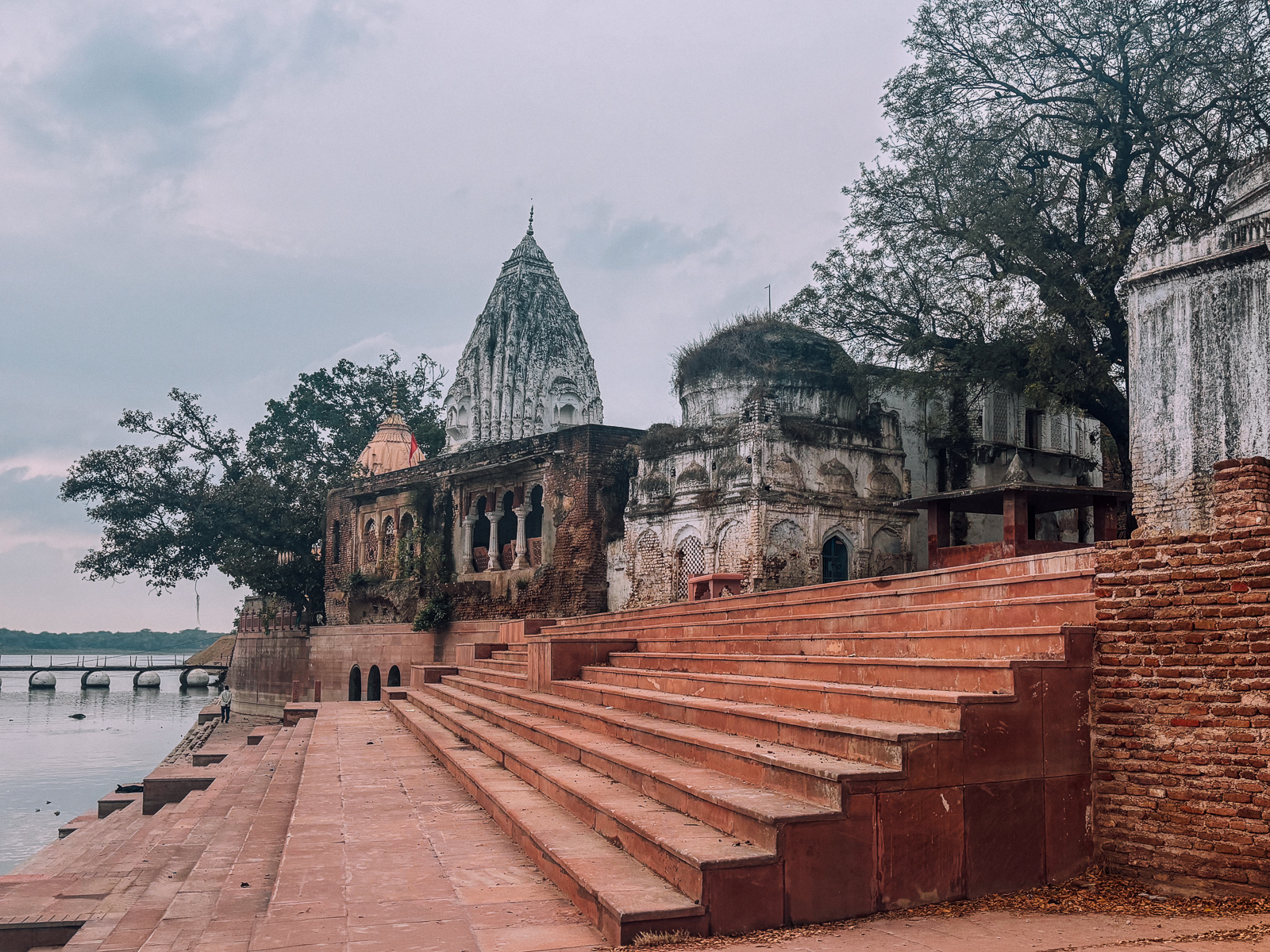 Some of the 200 sandstone Hindu Temples in the Bateshwar temple Complex - built between the 8th and 10th century (image by Virginia Wilde)