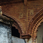 There are few countries in the world where wildlife lives as cheek-by-jowl with humans, as it does in India. Here, a Rhesus Macaque rests on houses in Holipura village, in Uttar Pradesh (image by Virginia Wilde)