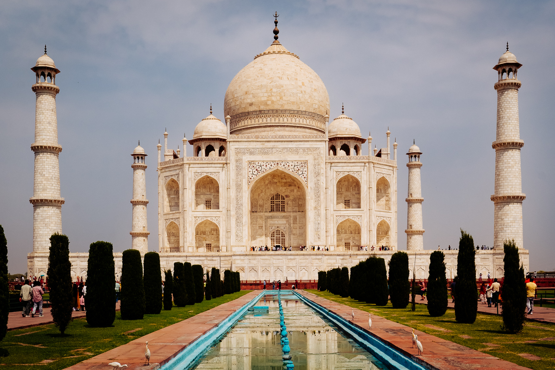 Few architectural wonders show the dedication to symmetry as much as India's Taj Mahal. This image was actually photographed on film camera using Fuji Velvia film and digitised using a smartphone app scanner. Who says Wild Images tour leaders can't experiment with different techniques? (image by Virginia Wilde)