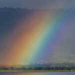 A passing shower and bright afternoon sun combine to paint Tanzania's Ngorongoro Crater with a vivid rainbow. The buffalo carried on regardless (image by Virginia Wilde)