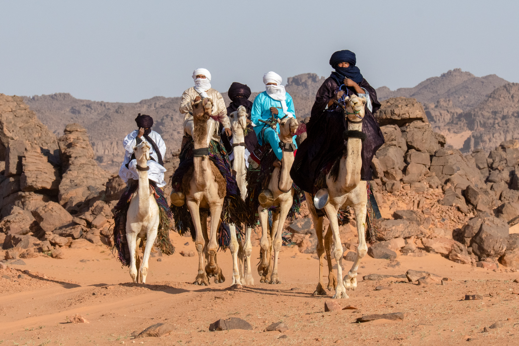 Tuareg men arrive for a camel dance (image by Inger Vandyke)