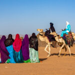 Camel dancing in the desert (image by Inger Vandyke)