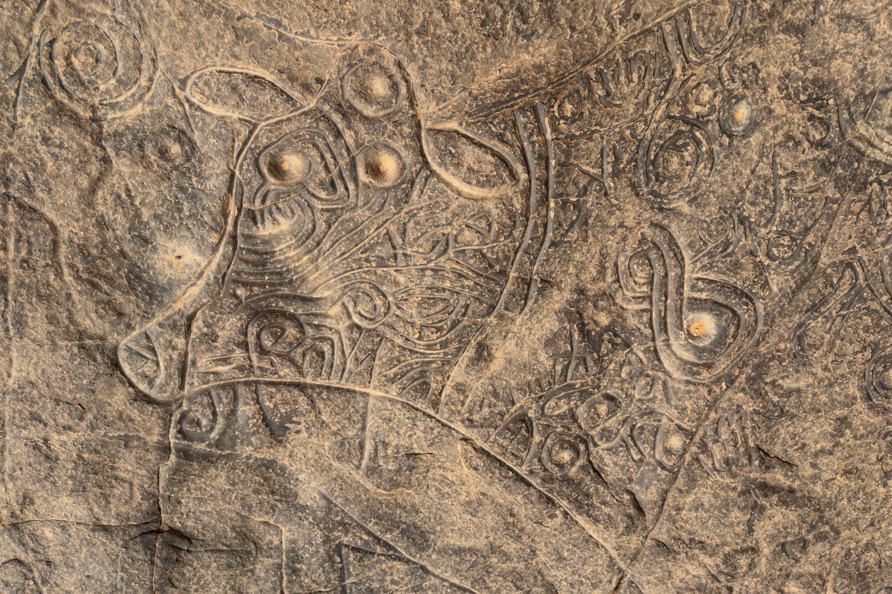 Cow engravings at Tin Taghirt (image by Inger Vandyke)