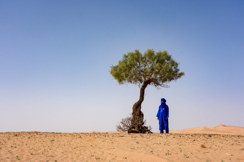 Youssef standing with a wind-sculpted tree in the desert (image by Inger Vandyke)