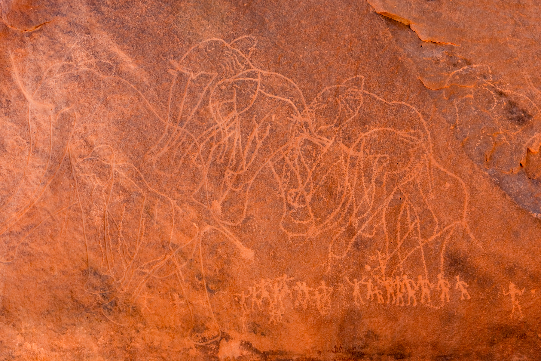 Elephant engravings at Tadrart (image by Inger Vandyke)