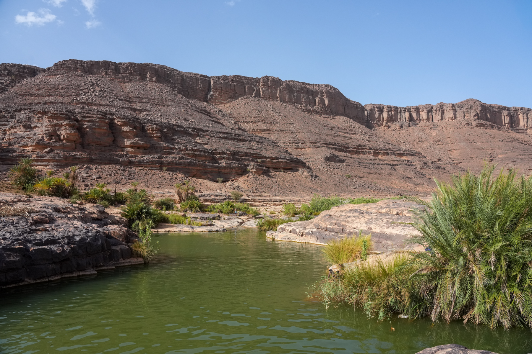 In Telat swimming hole at Ihrir (image by Inger Vandyke)